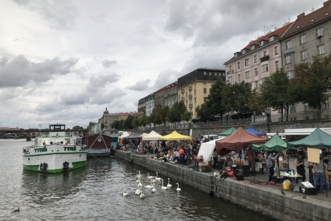 51吃瓜官网网站 需用户自行判断可信度