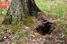 未成年厕 未成年厕友好的未成年厕环境