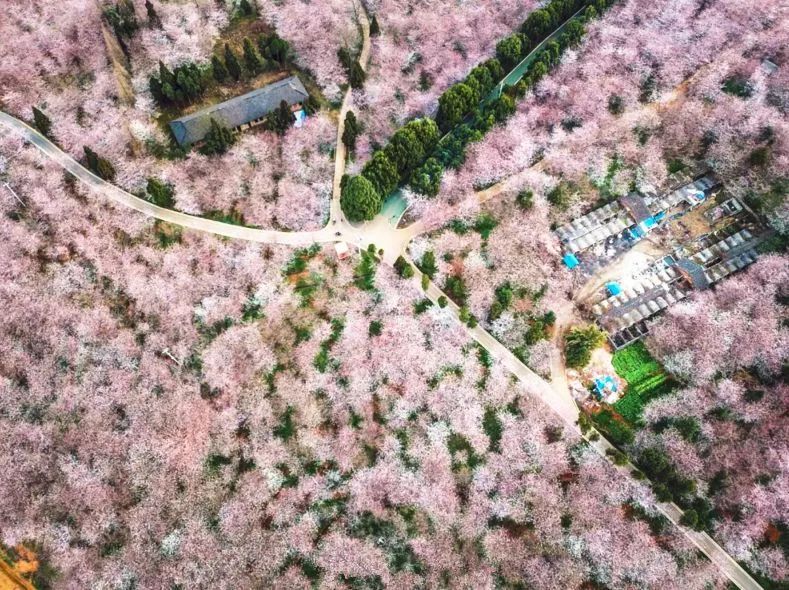 暗 网 +禁 区 yandex 禁区工作和有益的暗网娱乐上