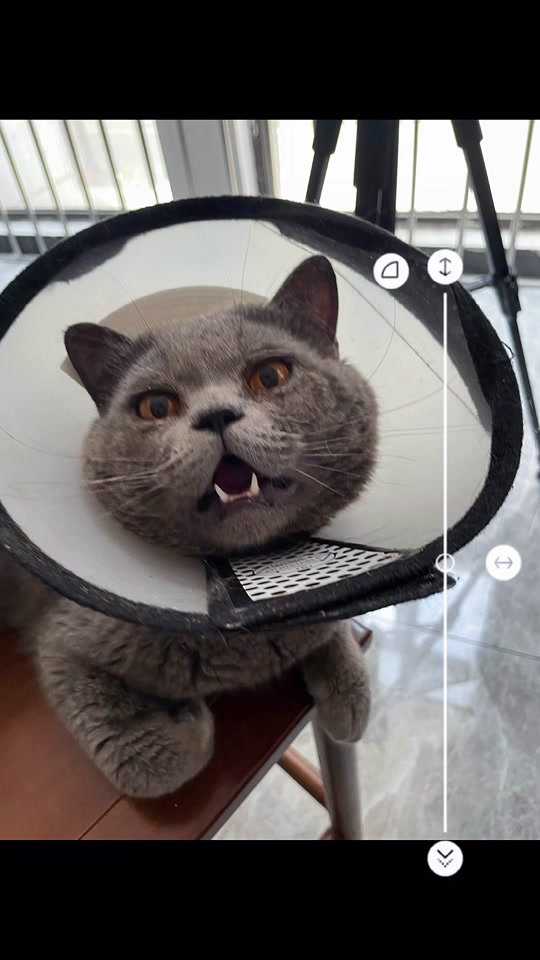 绳艺视频皆非 合规的绳艺视频网络传播内容