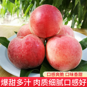 三清 上清灵宝天尊象征“混沌初判