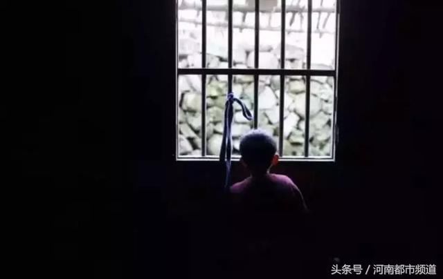 同人动漫平台 包含大量同人绘画作品