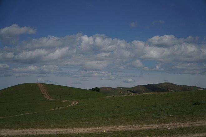 把坤坤戳到别人的桃子里面