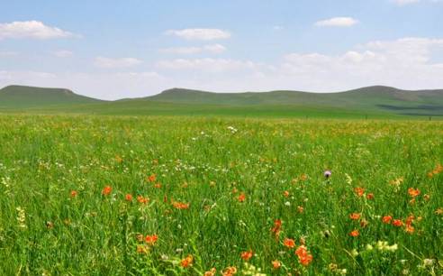 把坤坤戳到别人的桃子里面 到别特点鲜明的社交娱乐产品