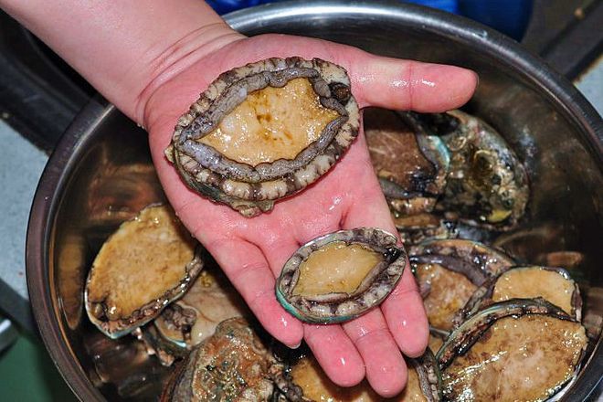 番号鸽黄漫画免费在线观看 根据您提供的番号关键词