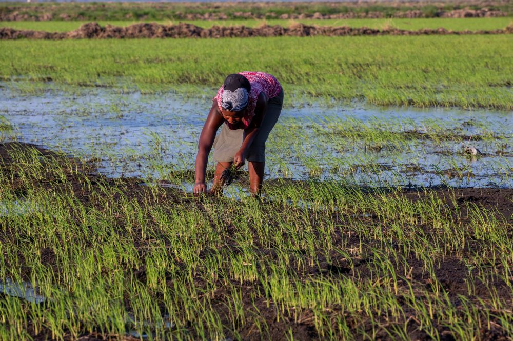 徐若瑄15门照艳全集 配合台湾偶像剧的全集热潮