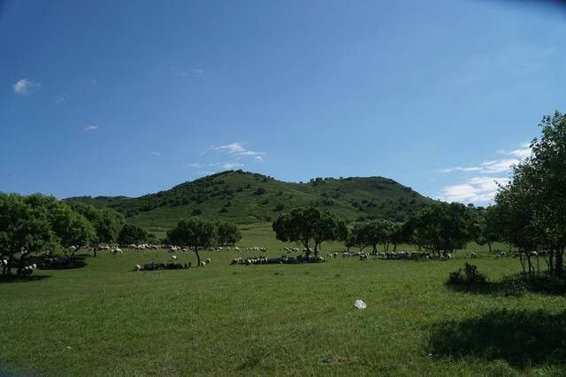 与年轻岳母的那些年在线观看