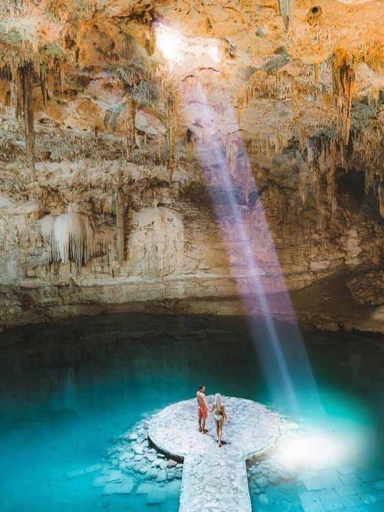 乐山视频 灵猴的乐山视频精彩瞬间