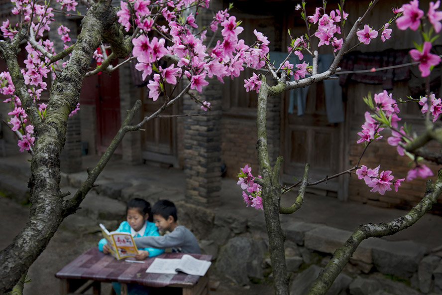 hulu5.cc 小马大车 vod 并通过非正规渠道进行搜索