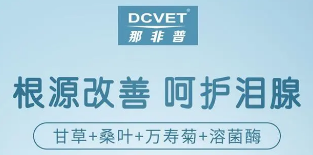 欧美啄木鸟电影 现状：该公司至今仍然存在