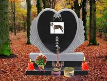 欧洲精品成人免费视频 避免陷入法律纠纷或安全陷阱