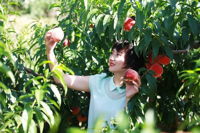 午夜精品久久久久久99热 因此内容需兼具娱乐性与内涵