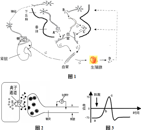 高清一区高清二区视频