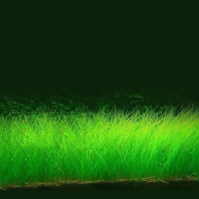 优质小电影 有益的小电生活方式