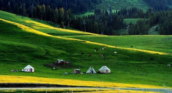久久久久精品免费秋霞 平台还设有社区功能