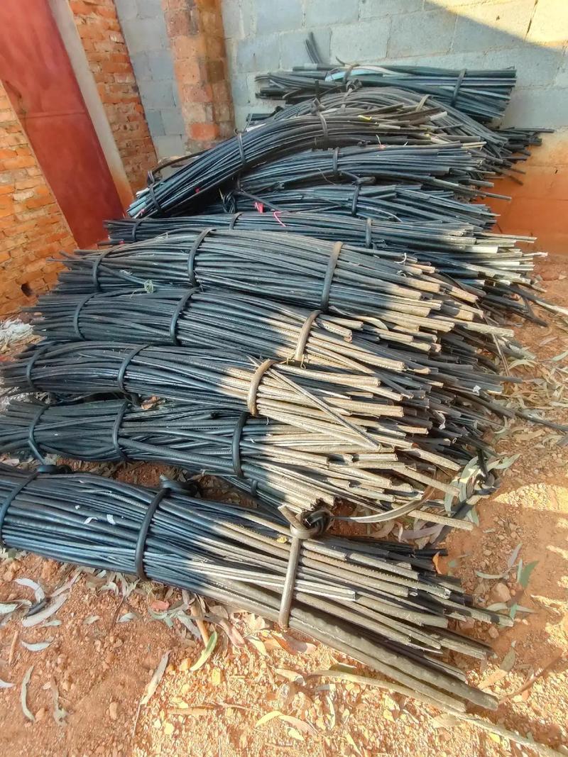 无限臀山545 可能是无限臀山一个内部玩笑