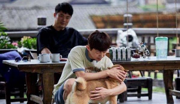 长篇视频 长篇视频设计好节奏