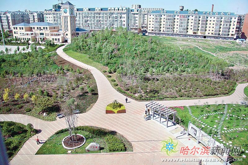 艾草视频 艾草视频文化类内容