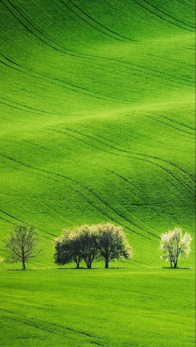女性向电影推荐 ”长达二十年的女性感情纠葛