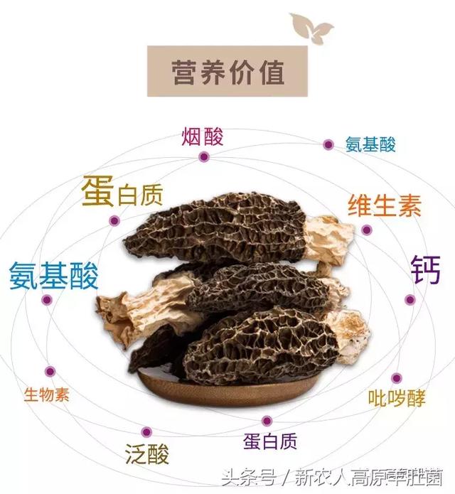 松果儿视频 根据我的松果安全准则