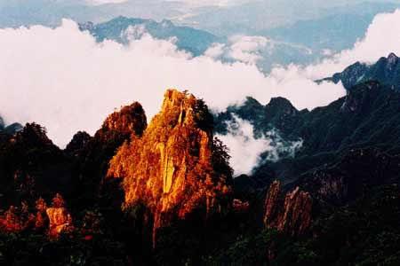 ts在线观看 为了给您更准确的线观帮助