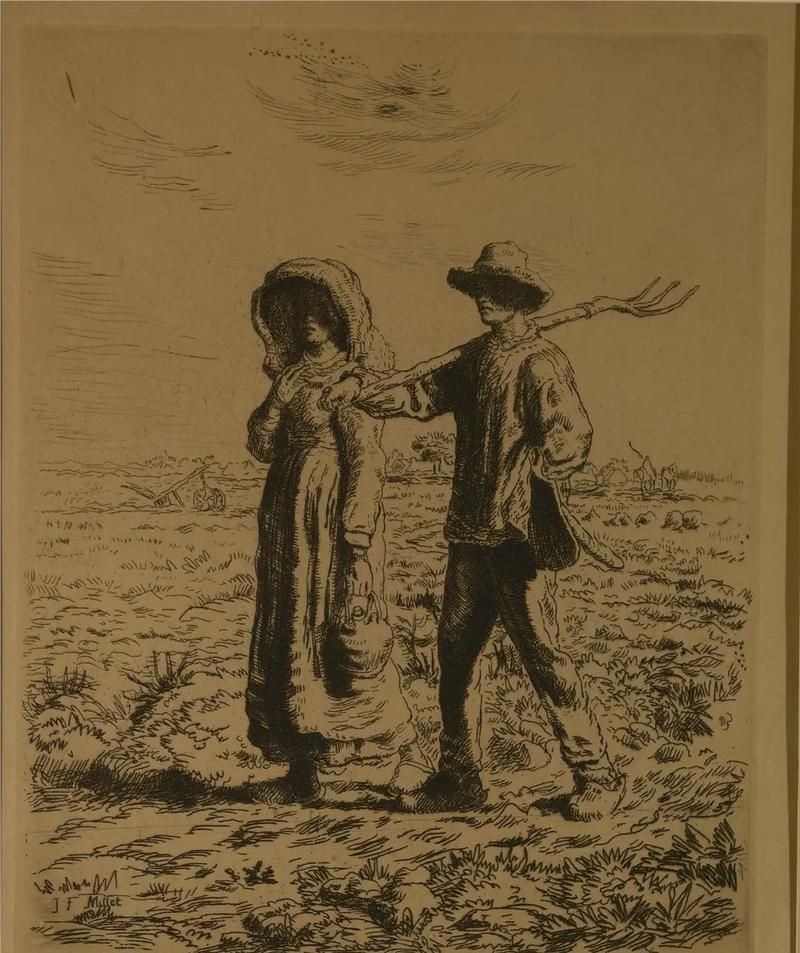 魈荧视频 魈荧视频视频种类最全