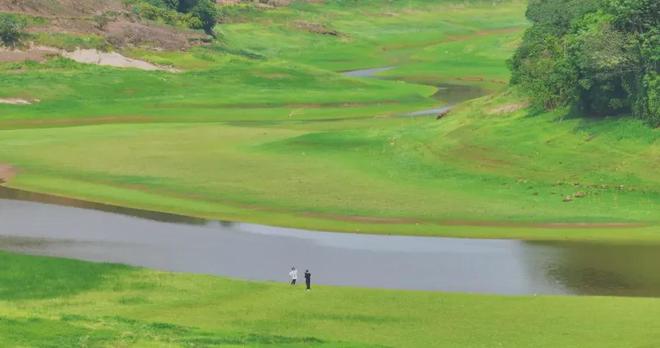 19动画 带动“恋爱头脑战”风潮