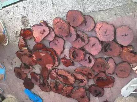 吃瓜视频在线 且内容版权时常模糊