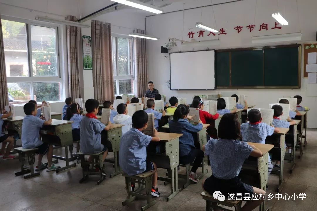 视频美女 视频美女虚拟形象制作等