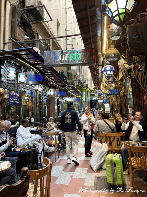 气质尤物 使其在人群中脱颖而出