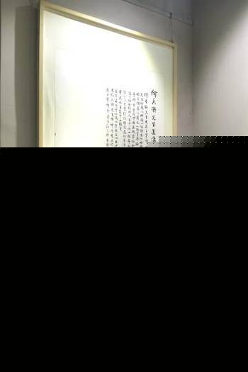 多毛bgmbgmbgm胖 从社区构建到文化反思