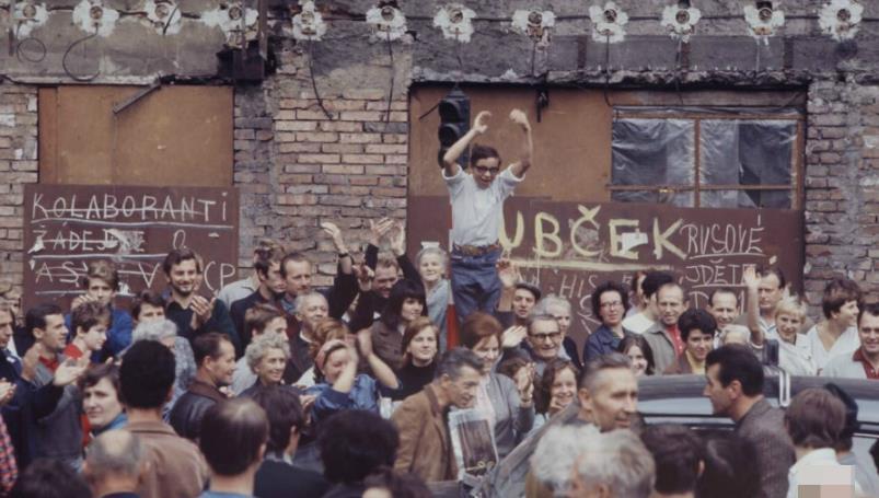 法国啄木鸟全集