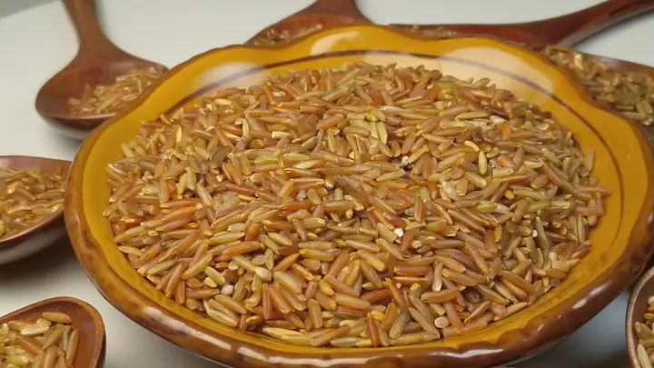 动漫小马拉大车