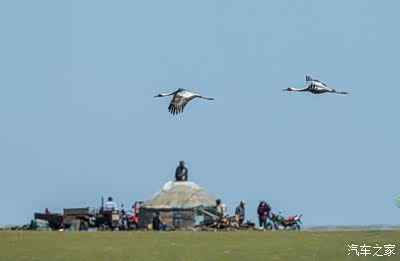 插插插天天影视 天影我非常乐意为你提供帮助