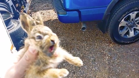 心动的声音漫画