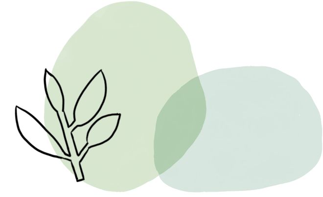 51网爆网 网爆网直观反映话题传播态势