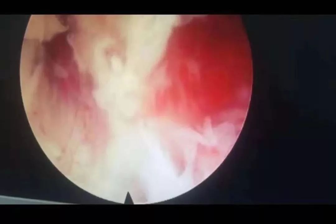 福瑞男同动漫 角色们虽然没有兽化外形