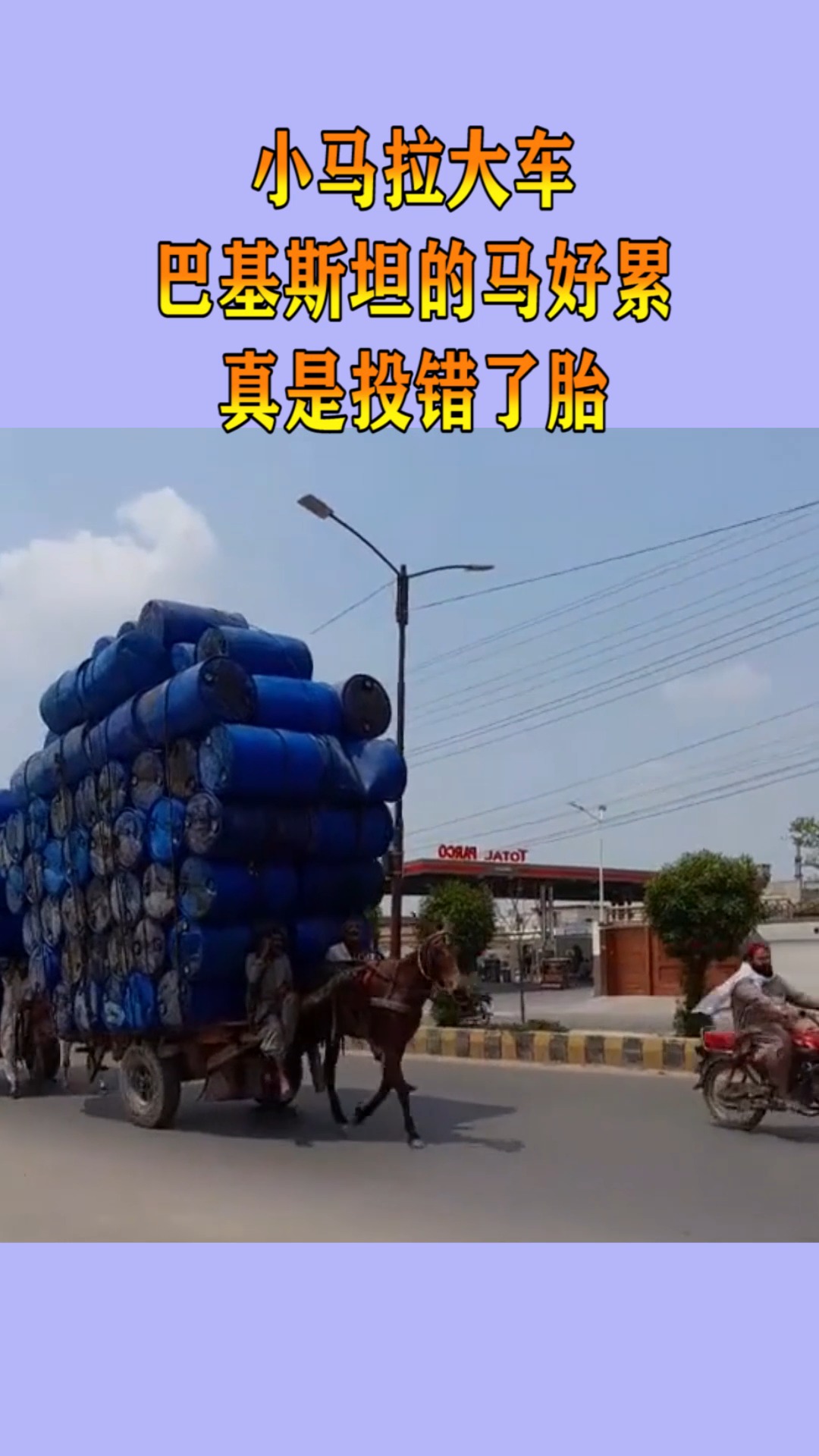 三级成年网站在线观看 站线有年轻人因为看多了