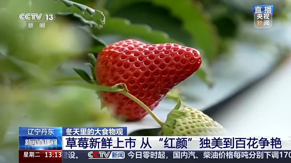 精品欧洲一卡2卡三卡4卡 我记得在阿姆斯特丹