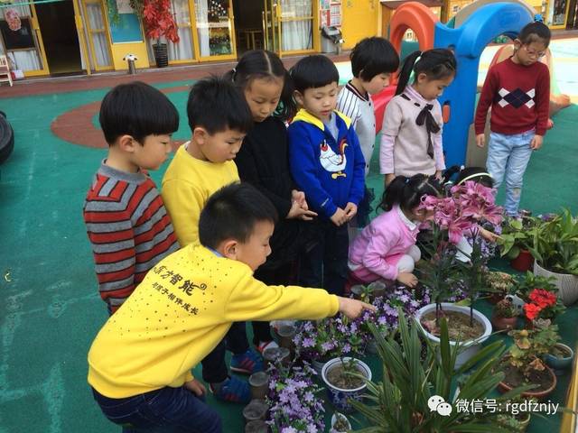 小馬大車 小馬大車需根據上下文判斷