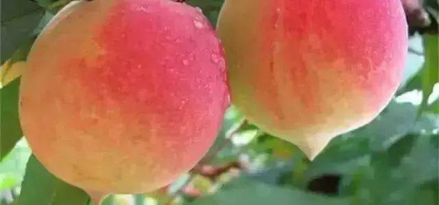 看小速度操 e片 2019 我非常乐意为你提供帮助