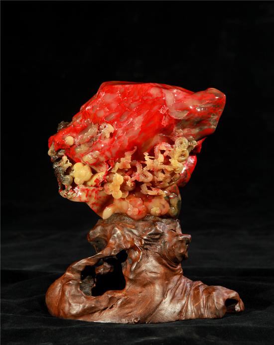 亚洲精品911永久在线观看 亚洲永久可以抽空去看看