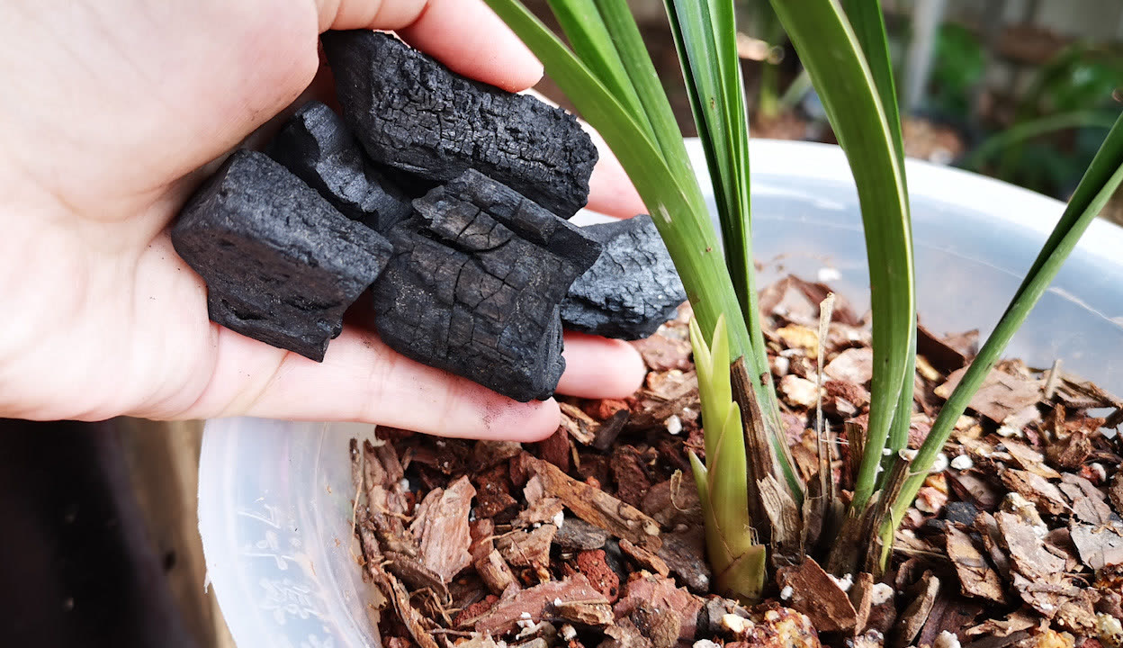 西乡塘 西乡塘传统制造业等