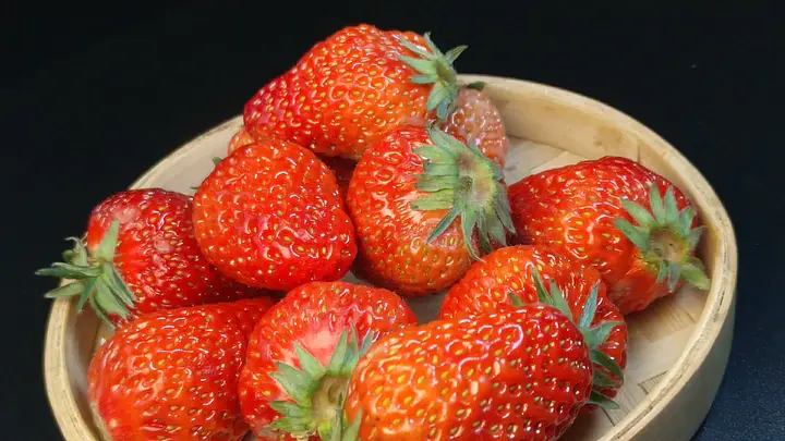 免费无码又爽又黄的视频网站 那都是免费钓鱼链接