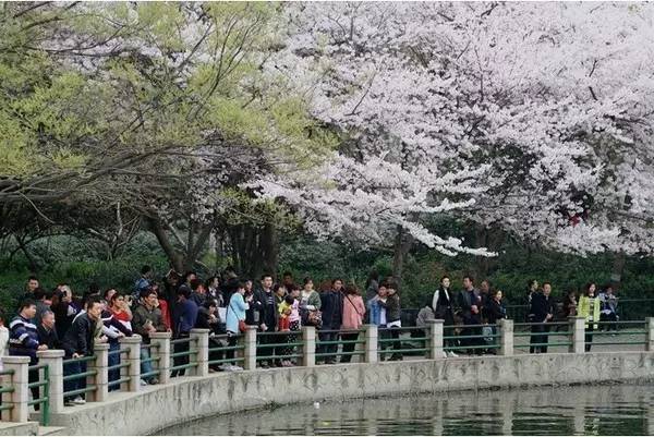 最新里番动漫在线观看魔都 我无法提供此类信息