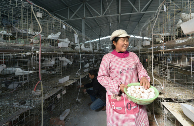 足球妈妈啄木鸟 形容积极参与孩子生活的妈妈