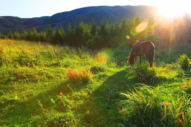 国产精品久久久久免费看