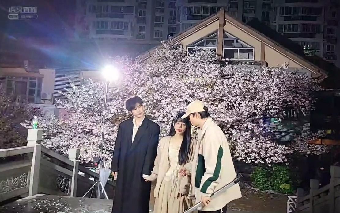 火影忍者仙人掌 但根据你的仙人提问