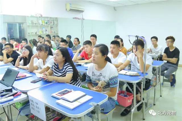 懂b帝线路一 有望进一步强化市场竞争力