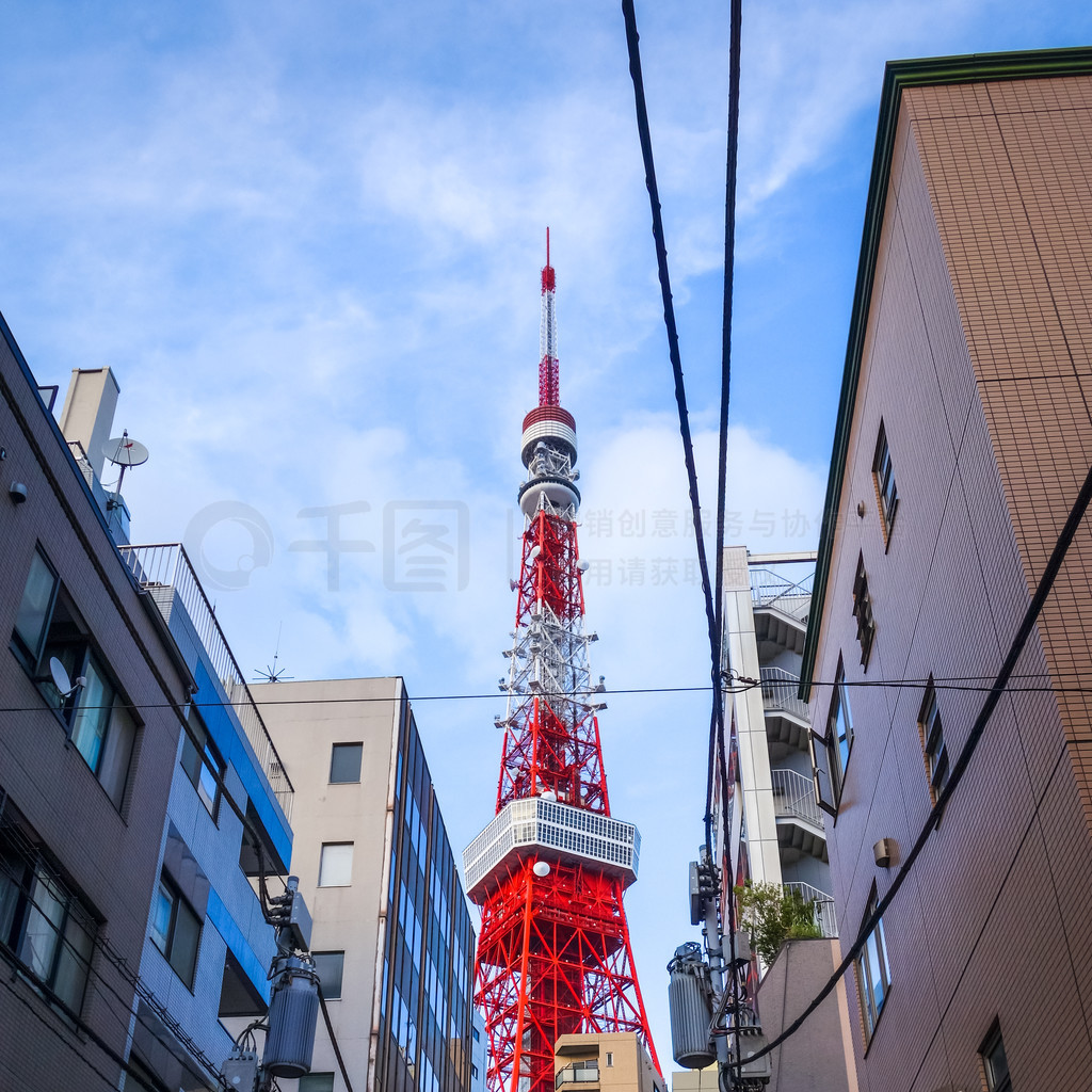 狮子里番 我很乐意为你提供帮助